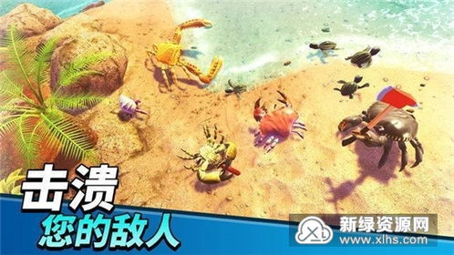 螃蟹之王最新版无限钻石金币版下载无广告-螃蟹之王最新版无限金币内购版下载v.6.25