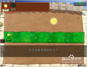 植物大战僵尸火影版内置菜单可化妆无广告版下载-植物大战僵尸火影版内置菜单无敌版v.4.72